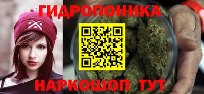 стаф Жуковский