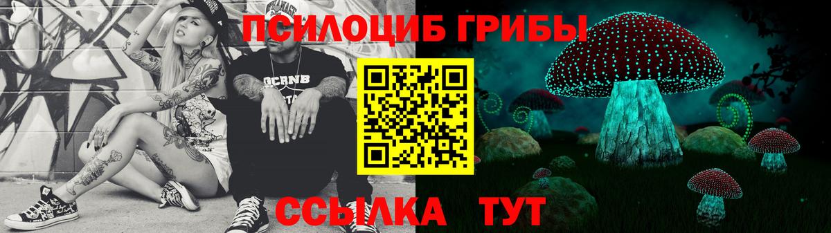 Нарткала  Псилоцибиновые грибы ЛСД  Вход с VPN 